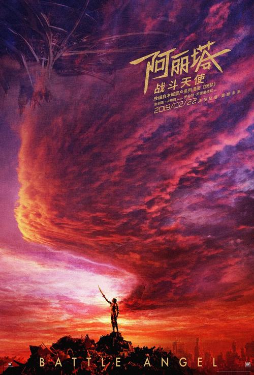 专业造假